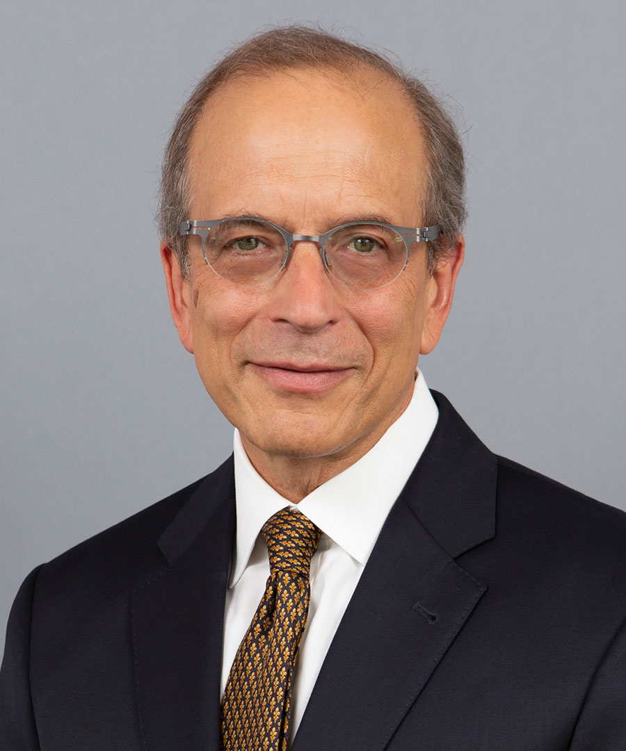 Hon. Steven M. Gold (Ret.)